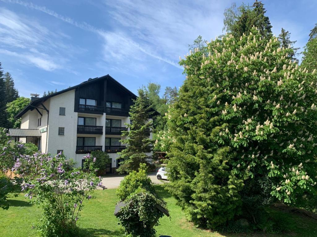 Landhaus Am Forst Bad Alexandersbad Exteriör bild