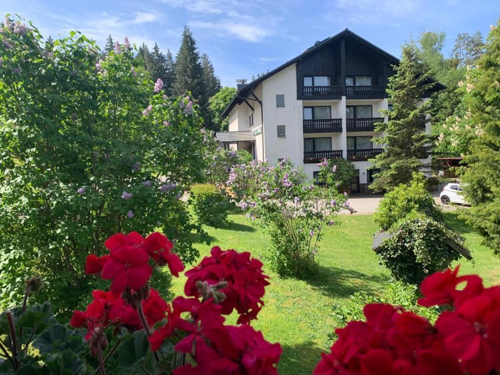 Landhaus Am Forst Bad Alexandersbad Exteriör bild