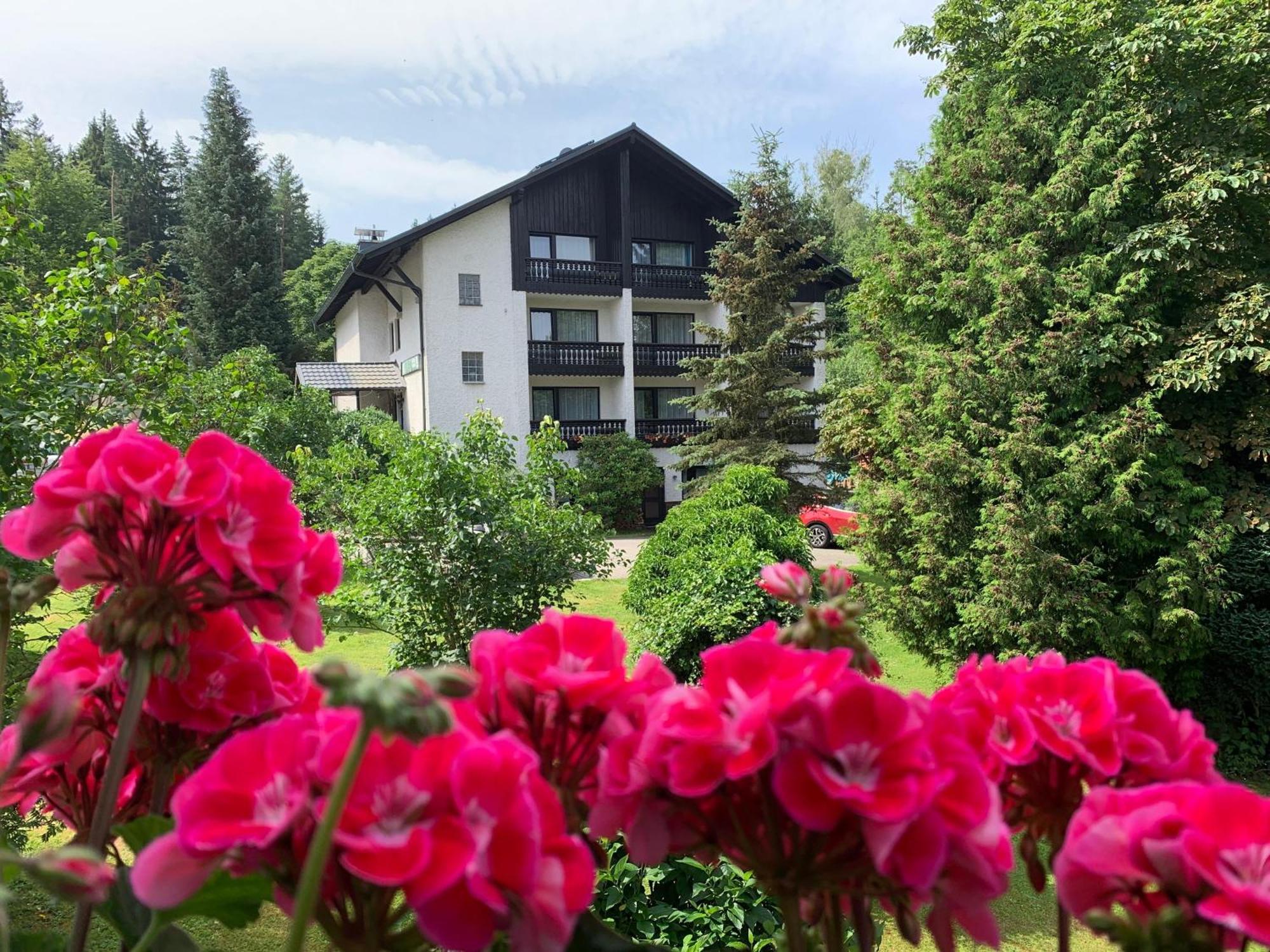 Landhaus Am Forst Bad Alexandersbad Exteriör bild