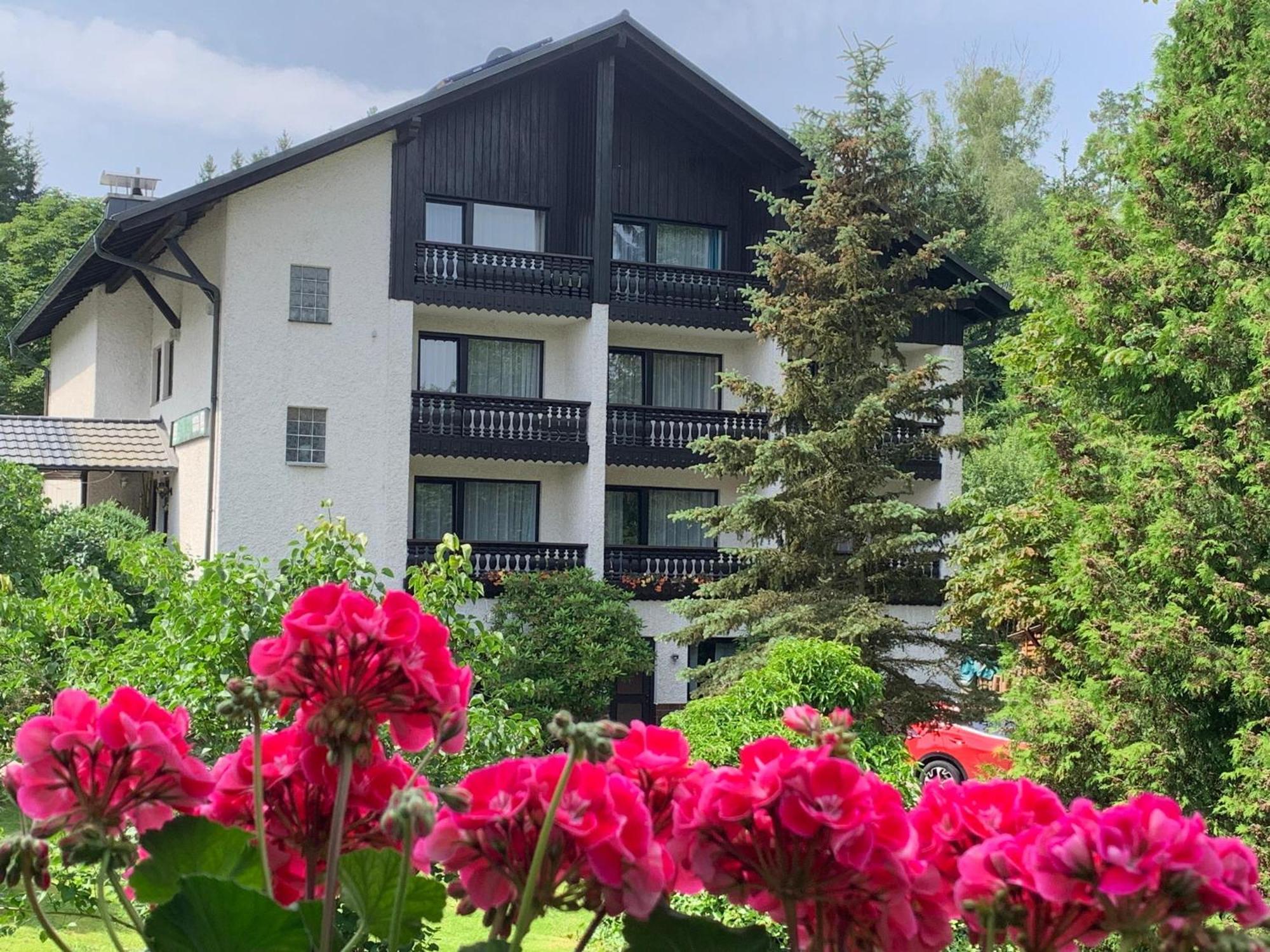 Landhaus Am Forst Bad Alexandersbad Exteriör bild