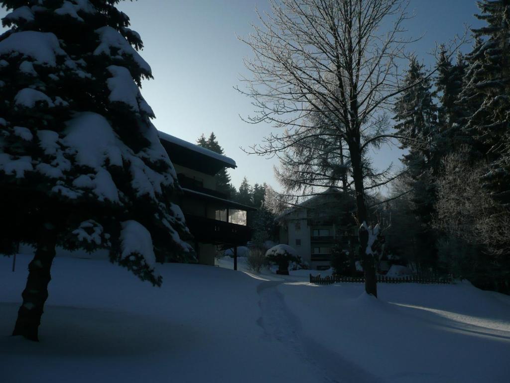 Landhaus Am Forst Bad Alexandersbad Exteriör bild